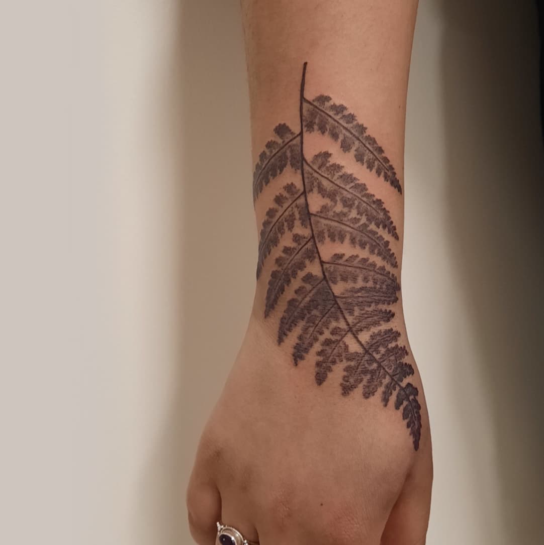 Fern